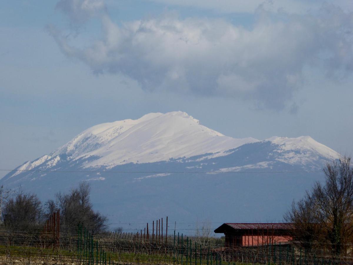 Casa Marele Villa San Martino della Battaglia Eksteriør bilde
